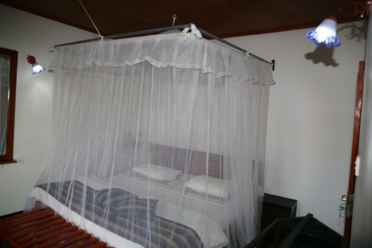 Village View Homestay Ella Ngoại thất bức ảnh