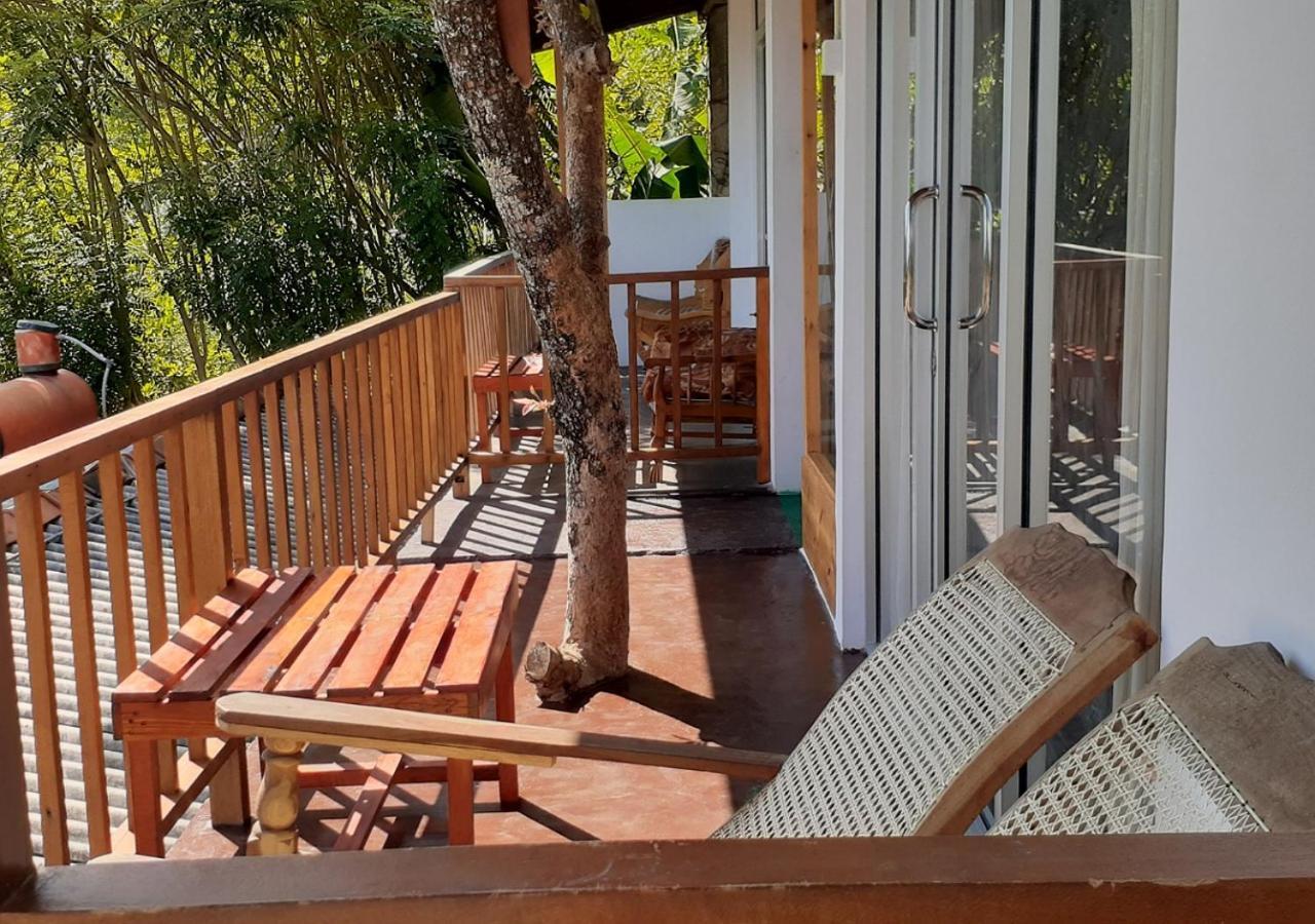 Village View Homestay Ella Ngoại thất bức ảnh